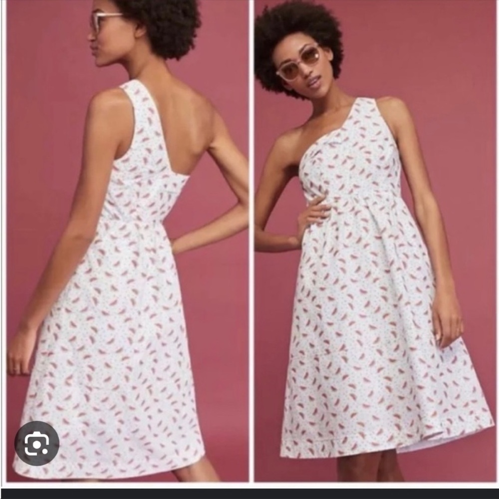 NWT Anthropologie HD in Paris watermelon 🍉 dress